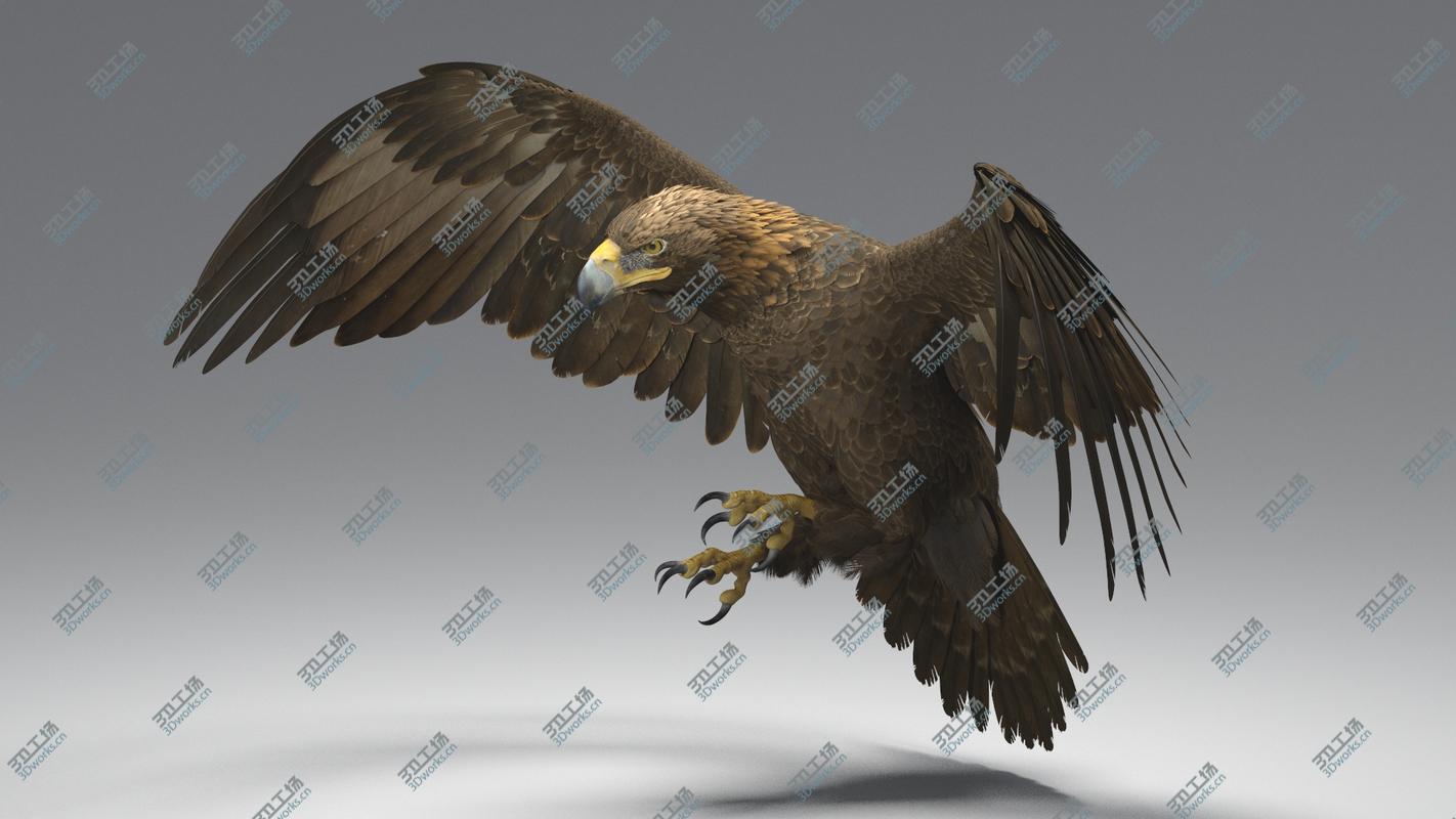 images/goods_img/20210114/3D Golden Eagle Rigged/3.jpg